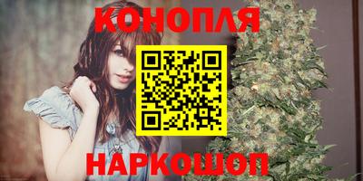 ешки Будённовск