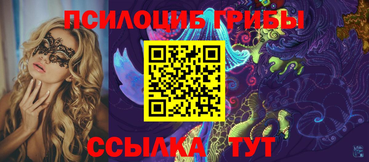 Псилоцибиновые грибы Psilocybine cubensis Реутов