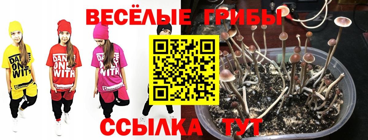 Реутов  наркотики  Вход с VPN  Галлюциногенные грибы мухоморы 